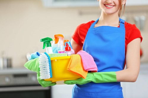 Professional mattress cleaning in Castelnau with deep fabric treatment