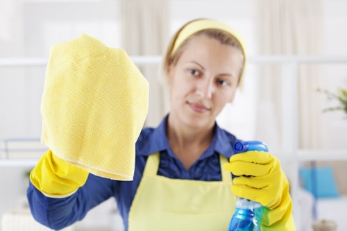 Inspection and deep cleaning process for mattress care in Castelnau