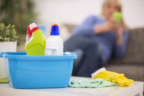 Cleaning products and tools arranged for safe carpet cleaning