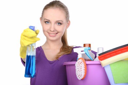 Professional stain removal services for homes and businesses in Castelnau