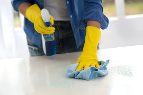 Safe carpet cleaning checkout with multiple payment methods